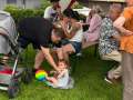 IMG-20250704-WA0025